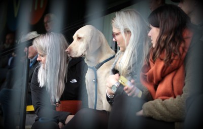 IMG_7685 (Aangepast).JPG